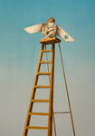 I have a strong urge to fly - Litografi av Tom Erik Andersen | Neo Galleri