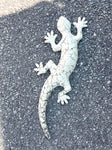 Hvit salamander (for vegg)