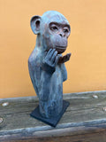 Apekatt