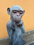 Apekatt
