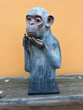 Apekatt