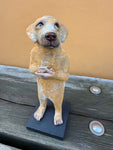 Gul hund