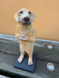 Gul hund