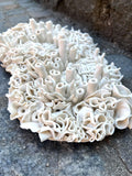 Stor Korall veggskulptur - hvit