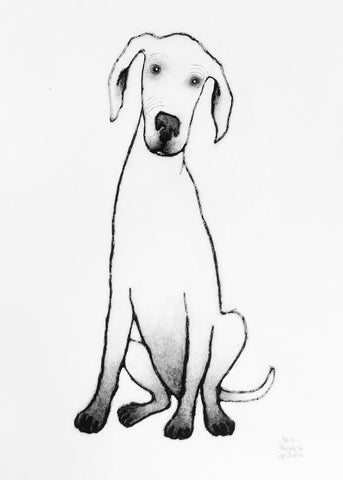 Bonzo