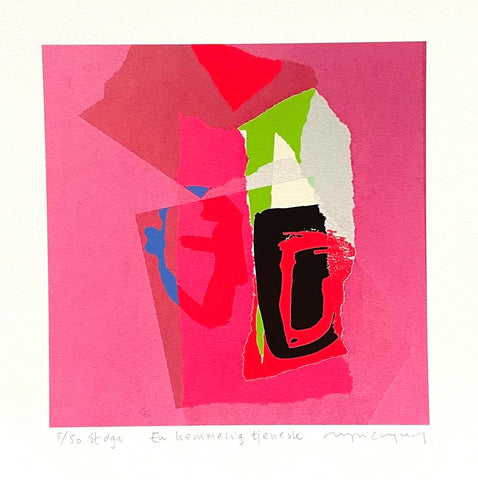 En hemmelig tjeneste - DGA av Ingri Egeberg | Neo Galleri