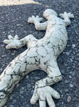Hvit salamander (for vegg)