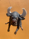 Flyvende hund med vinger (OM90) - Neo Galleri - Kunst på nett og galleri i Gamle Stavanger