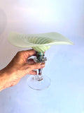 Kunstglass - stettefat