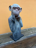 Apekatt