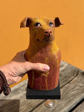Oransj hund