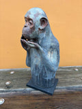Apekatt