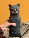 Katt