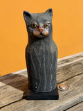 Katt