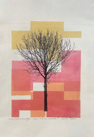 Asken, livets tre - kvadrater I