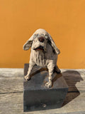 Liten hund på sokkel (OM98) - Neo Galleri - Kunst på nett og galleri i Gamle Stavanger