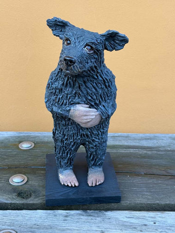 Svart hund