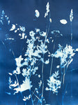 Juni sommer II