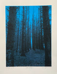 Den skogen (Blå)