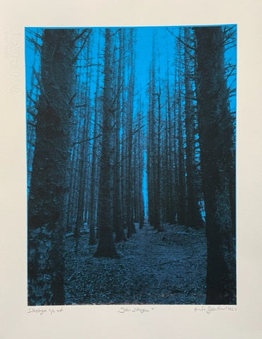 Den skogen (Blå)