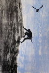Gone climbing