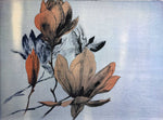 Floating magnolia
